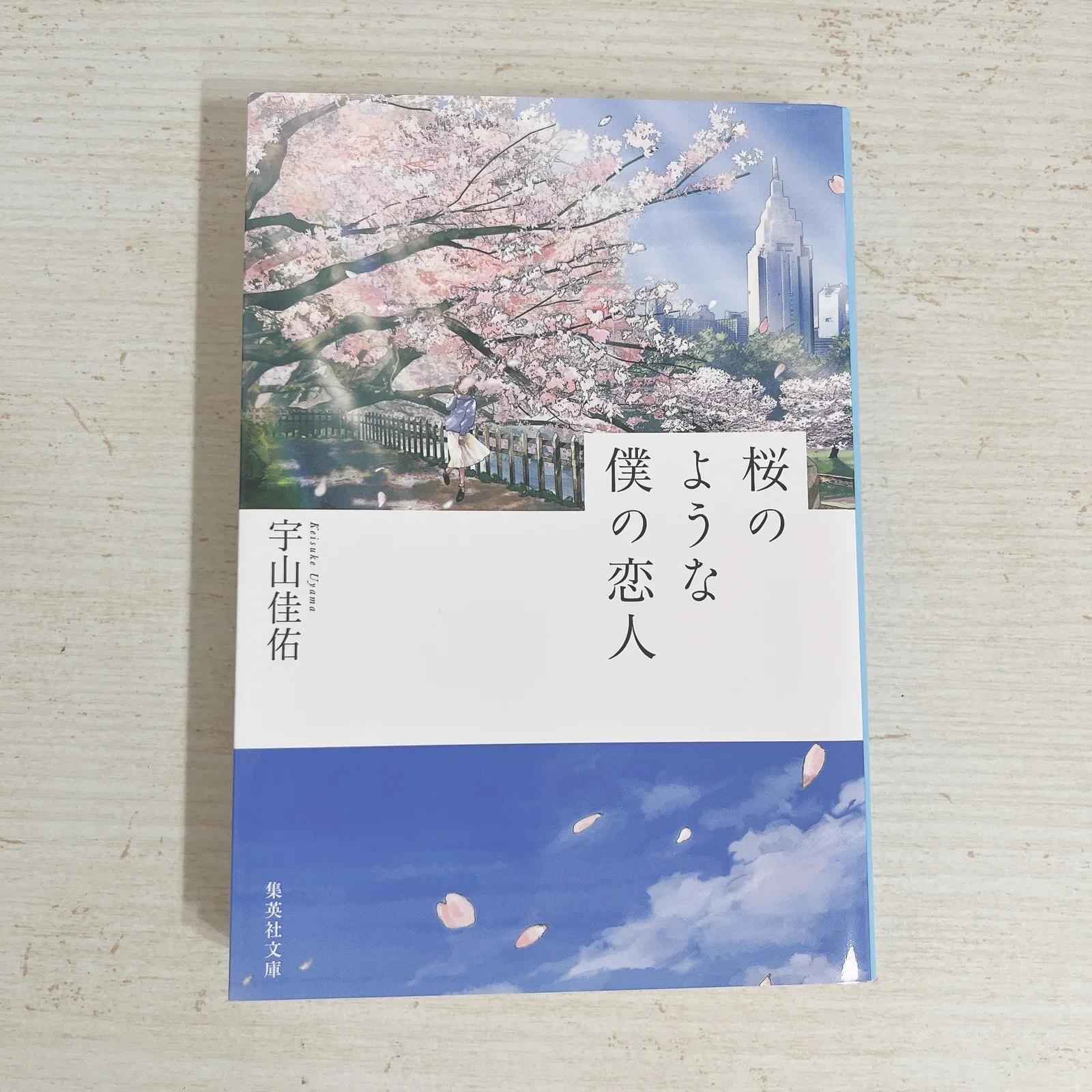 桜のような僕の恋人の紹介写真