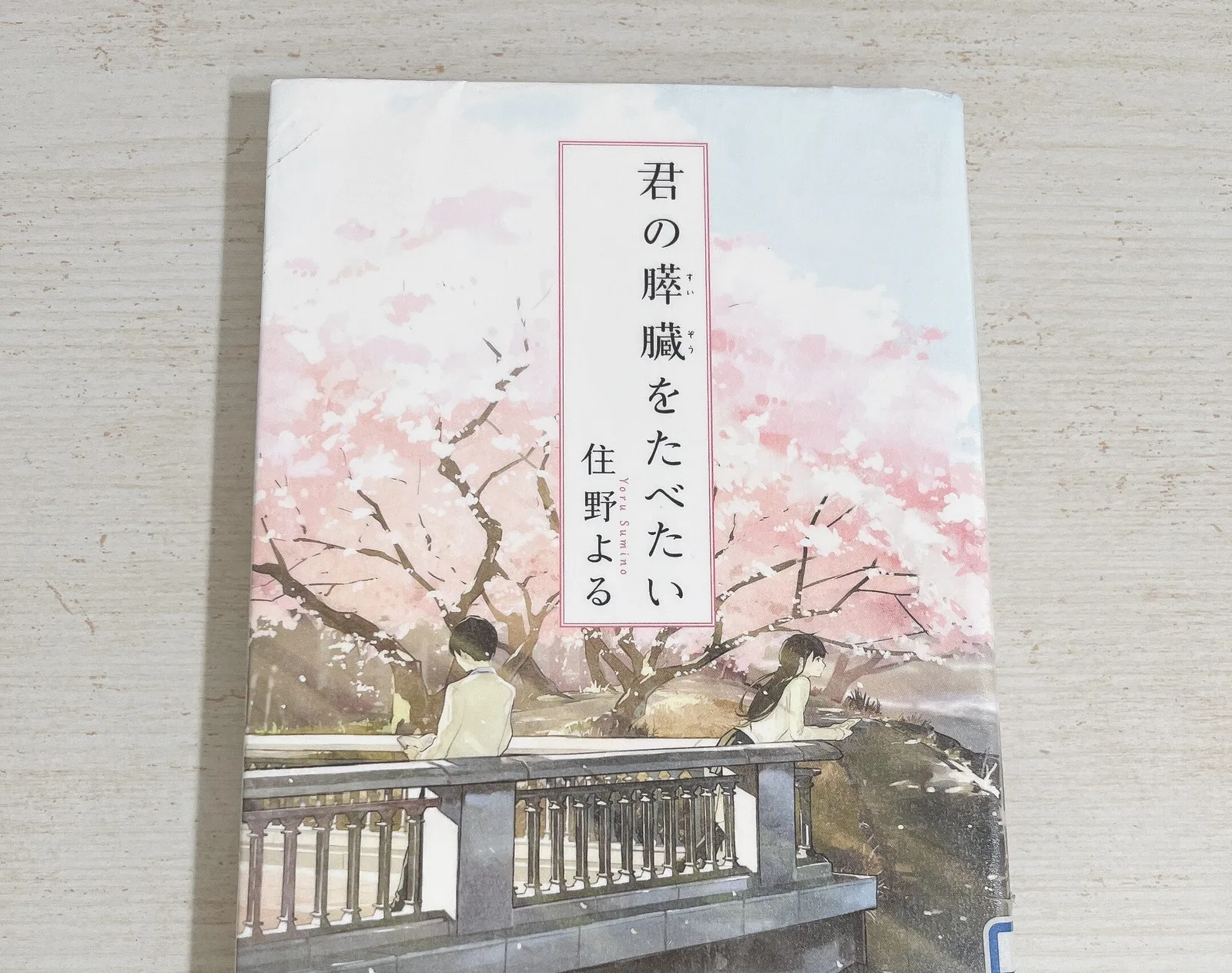 君の膵臓をたべたいの紹介写真